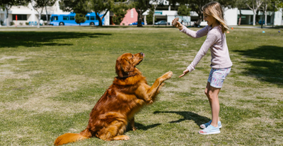 How to Teach Kids Responsibility Through Pet Ownership