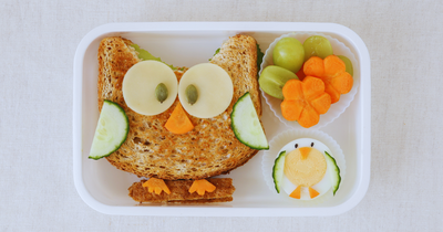 Creative Lunch Box Ideas to Keep Kids Happy and Nourished
